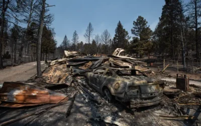 New Mexico Wildfire Claims a Life, Thousands Evacuated, According to Governor’s Office