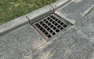 Bay View Residents Endure Unbearable Odor After Rainstorms