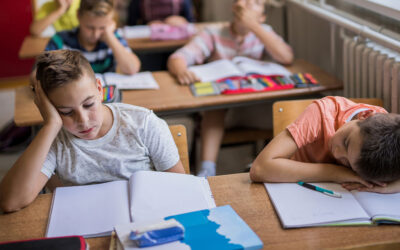 Shifting Trends in School Enrollment: Parents Demand More Choices