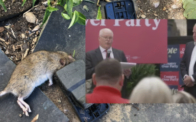 Waukesha’s Rat Problem Persists as Mayor Reilly Leaves Office With Key Issues Unresolved