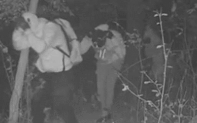 Mequon Sees Spike In Crime And Break Ins As Gangs With South American Ties Are To Blame