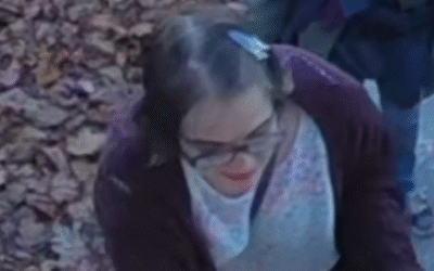 Geyser Gone: Slender Man Attacker Cuts Monitor, Sparks Wisconsin Manhunt