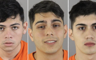 Three Illegal Immigrants Face Fifteen Years In Prison Over Alleged Burglary Spree