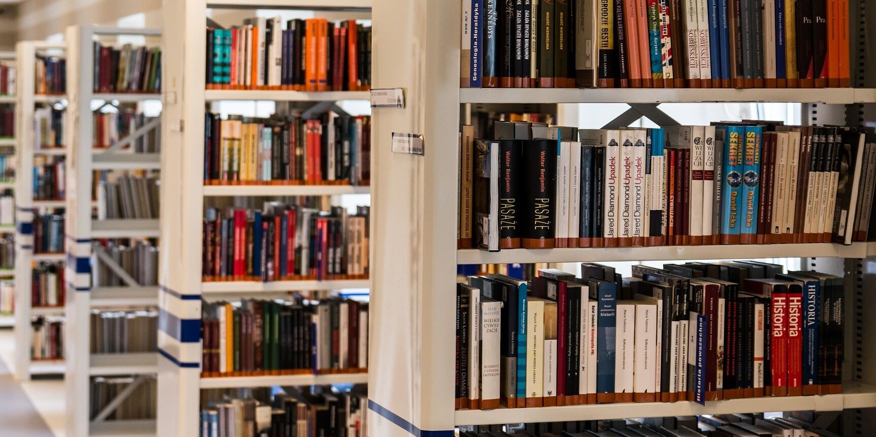 jarmoluk-library-488690_1920